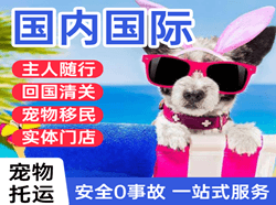 鞍山腾鳌航空快递国际宠物托运 【国